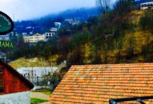 Flying Ostrich By Dolmama美食图片