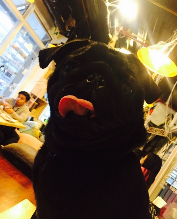 Crossroad Puzzle: Interactive Lounge餐厅图片