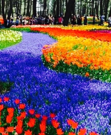 Al Hattab餐厅图片