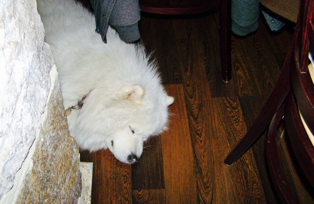 Saveurs des Halles餐厅图片