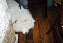 Saveurs des Halles美食图片