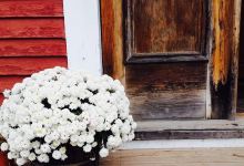 Cafe Lotti美食图片