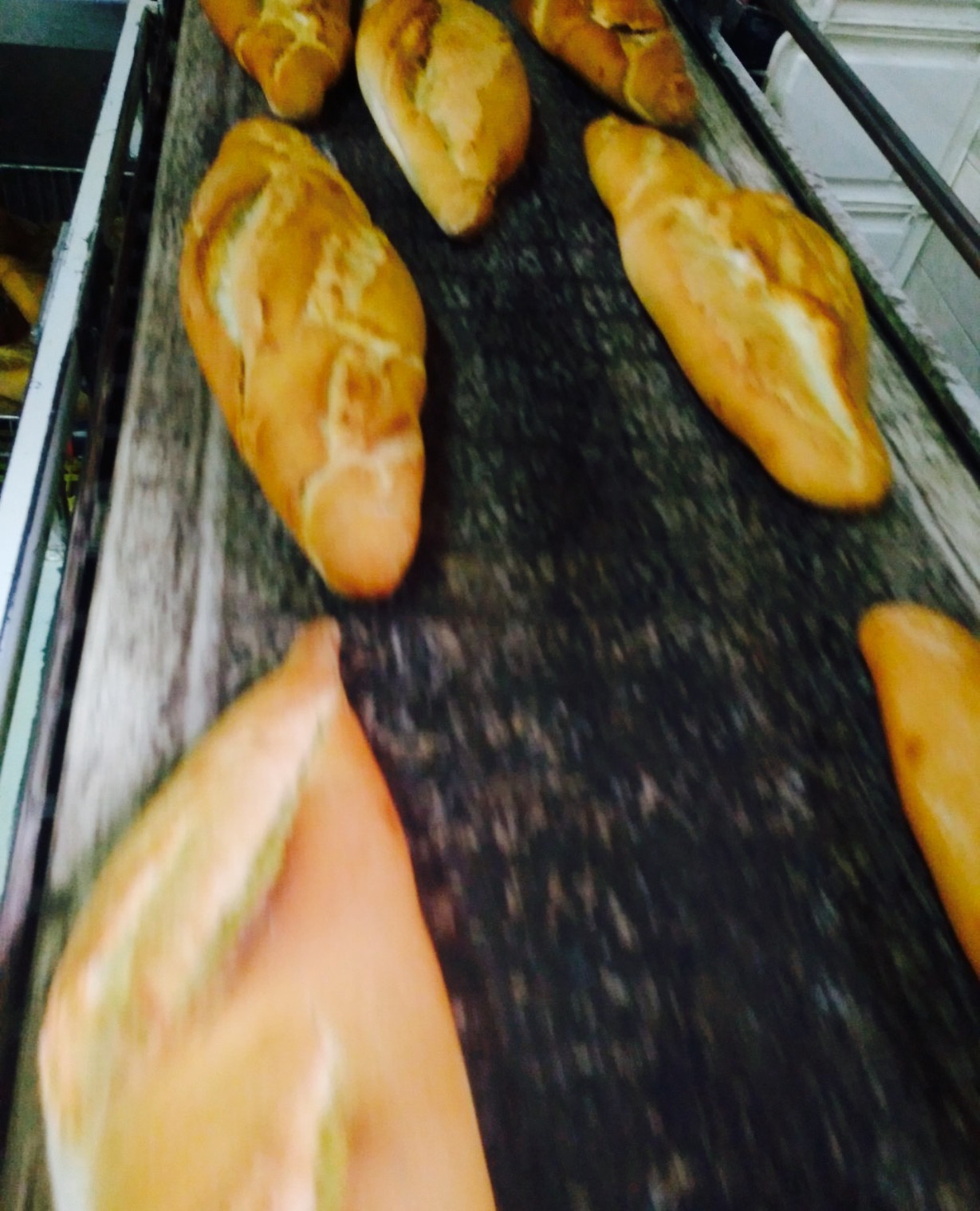 Panadería pancorbopan