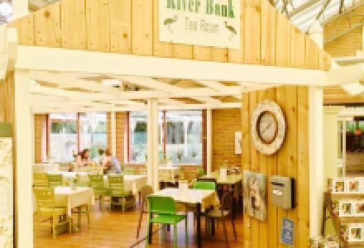 Conkers Garden Centre购物图片