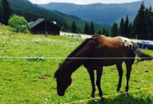Design Restaurant Erlebachova Bouda美食图片