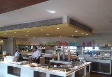 The Palms美食图片