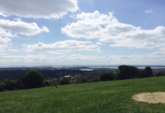 Mick's Monster Burgers美食图片