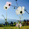 Cafe Kaze No Iro