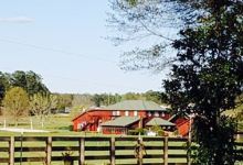 Carriage & Horses Restaurant美食图片