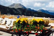 Rifugio Paion美食图片
