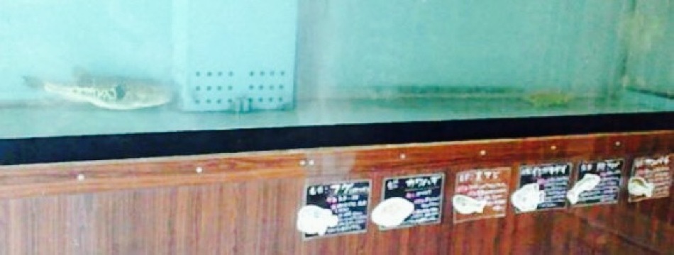 Juubee Udon Ebi Shop