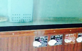 Juubee Udon Ebi Shop