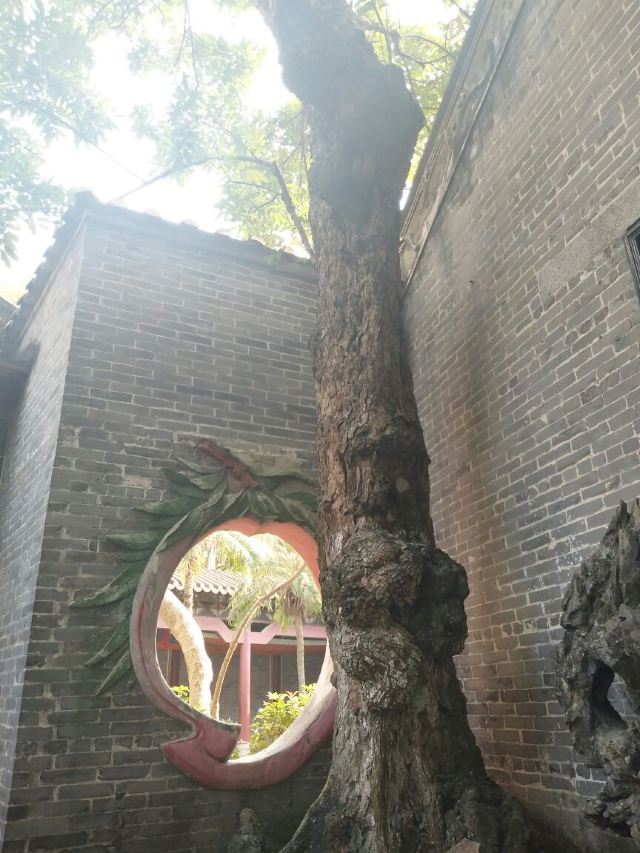 Qinghui Garden