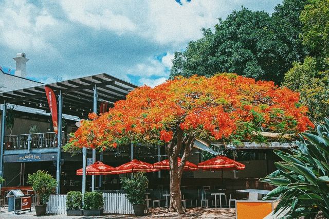 South Bank Parklands