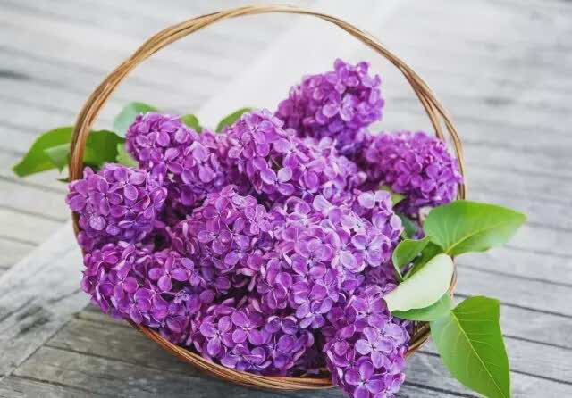 肯德基(民主店)餐厅图片