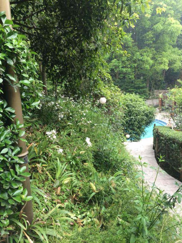 Emei Mountain Guanling Forest Hot Spring