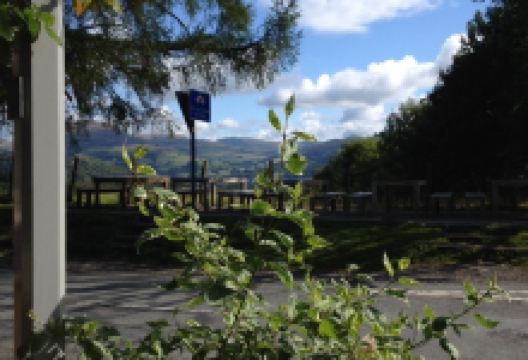 The Drunken Duck Inn美食图片