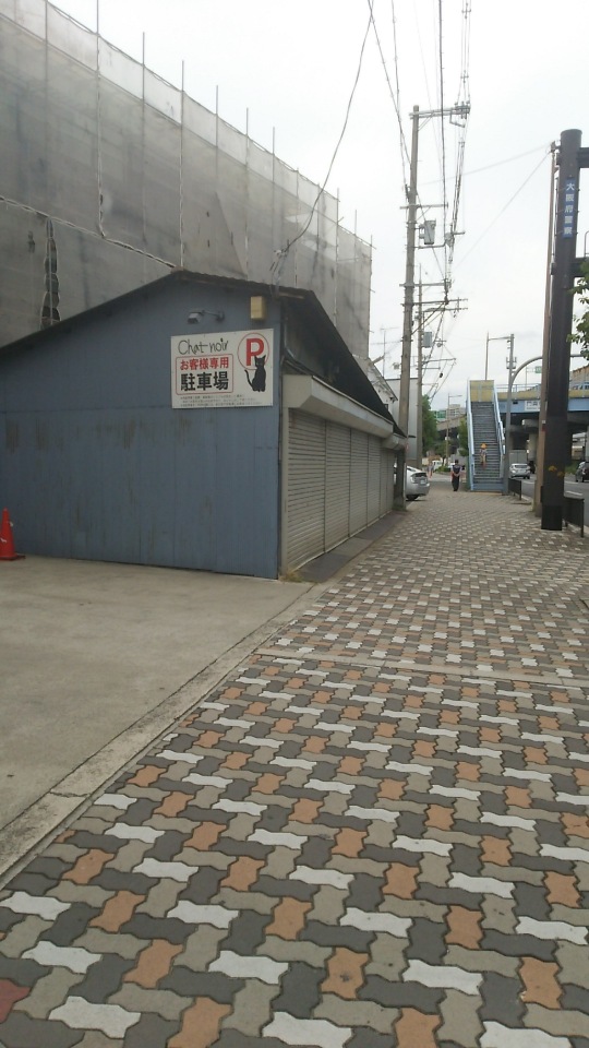 Chat Noir Central Kadoma餐厅图片