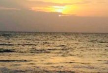 La Corisquena美食图片