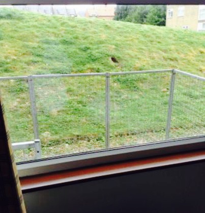 Mojis Pizzeria餐厅图片