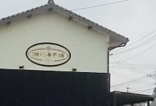 Segawa Kashiho购物图片
