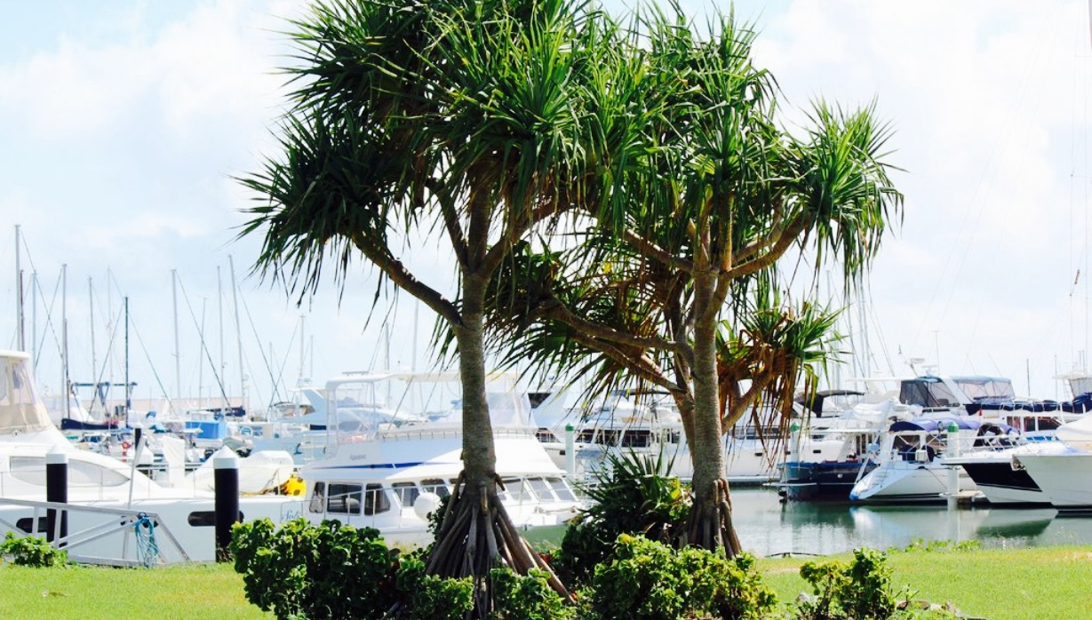 The Waterline Restaurant餐厅图片