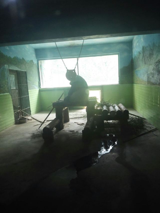 스자좡 도심 동물원