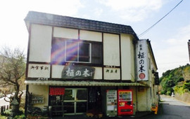 Kayanoki