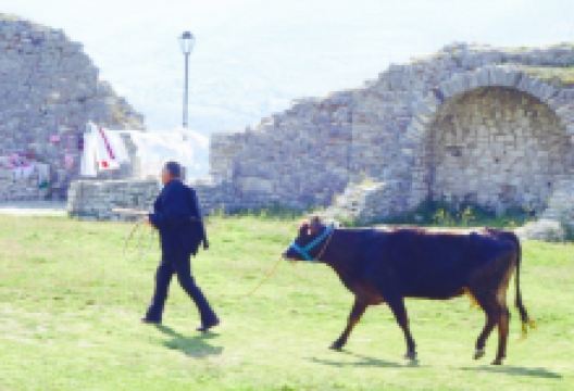 Bar Akropoli美食图片