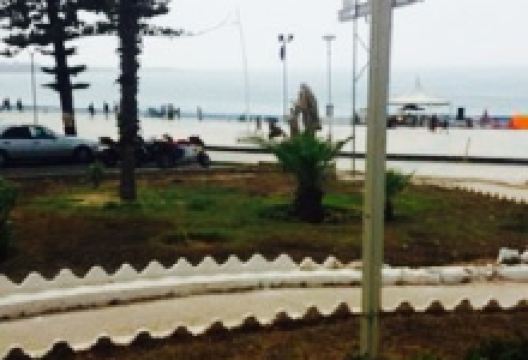 Requin Bleu美食图片