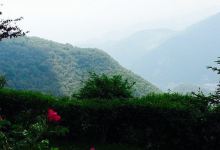 Agriturismo Malga Vittoria美食图片