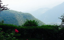 Agriturismo Malga Vittoria餐厅图片