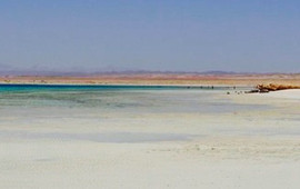 Sharme El Luli