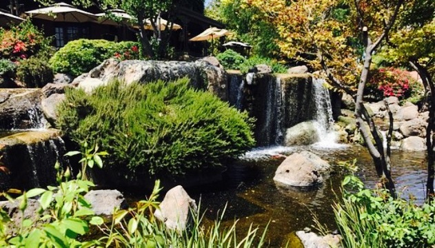 Starbucks餐厅图片