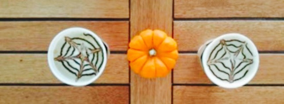 Bootleg Chocolates & Cafe