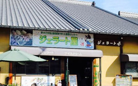 Gelatoya Milk Farm Furusho