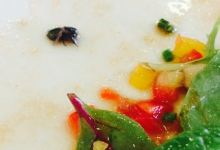Ramel购物图片