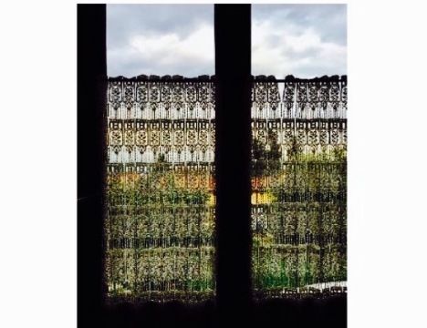 Antica Trattoria S. Giacomo