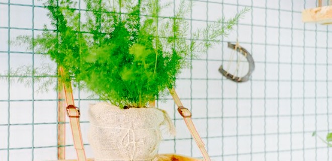 Baba Ganuš bistro餐厅图片