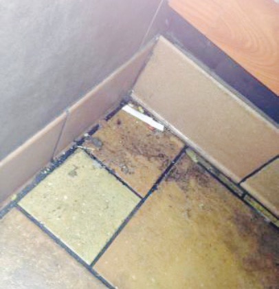 McDonald's餐厅图片