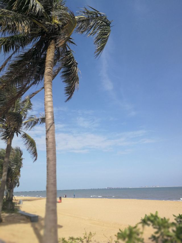 홀리데이 해변
