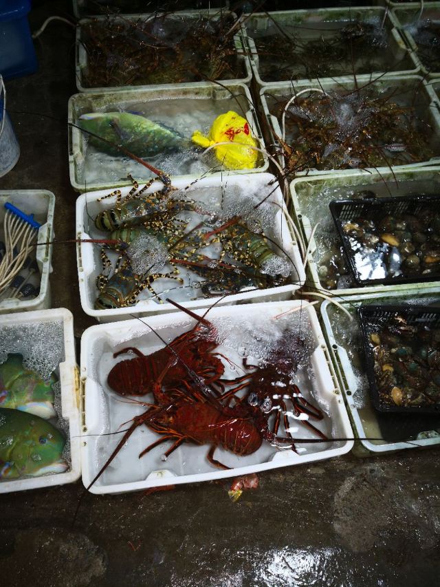 환구부두