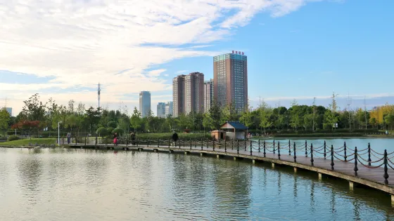 紫貞公園