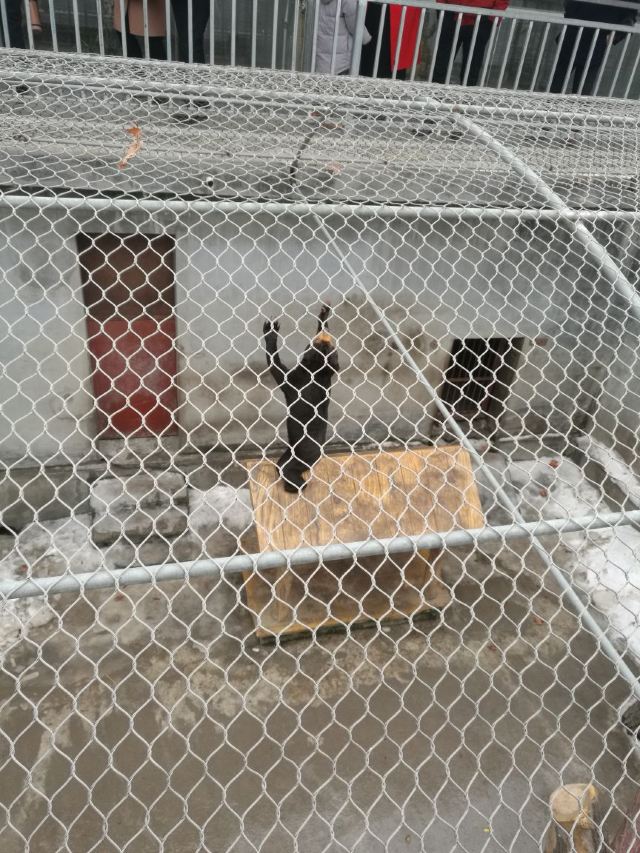 황금강 리조트