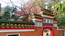 磨心山景区-岱山-YoYo_2E8Z0U3L