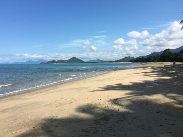 Palm Cove