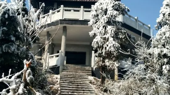 金龍梯田