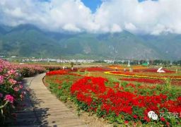 travel picture