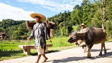 桃花源-桃源-doris圈圈