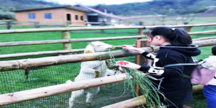 五穀地度假農場